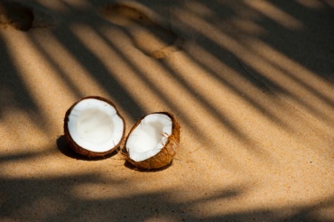 5 raisons de consommer de l’eau de coco avant l’été